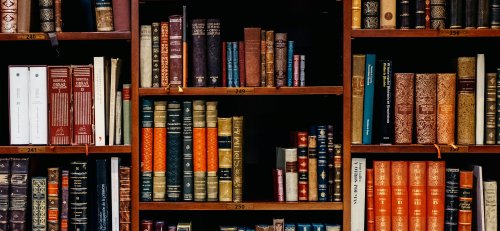 Books on wooden shelves Photo by Iñaki del Olmo on Unsplash